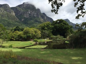 kirstenbosch-987517 960 720